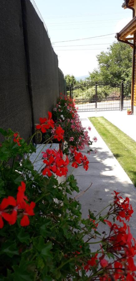 Guest House Ideal Sapareva Banya Exterior foto