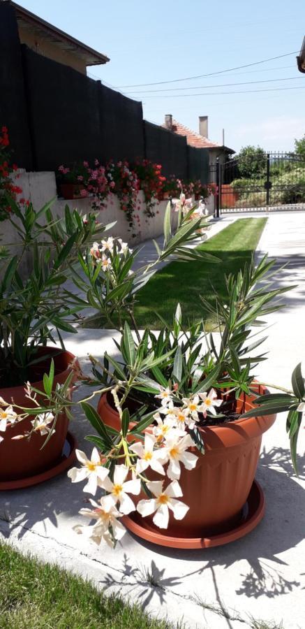 Guest House Ideal Sapareva Banya Exterior foto